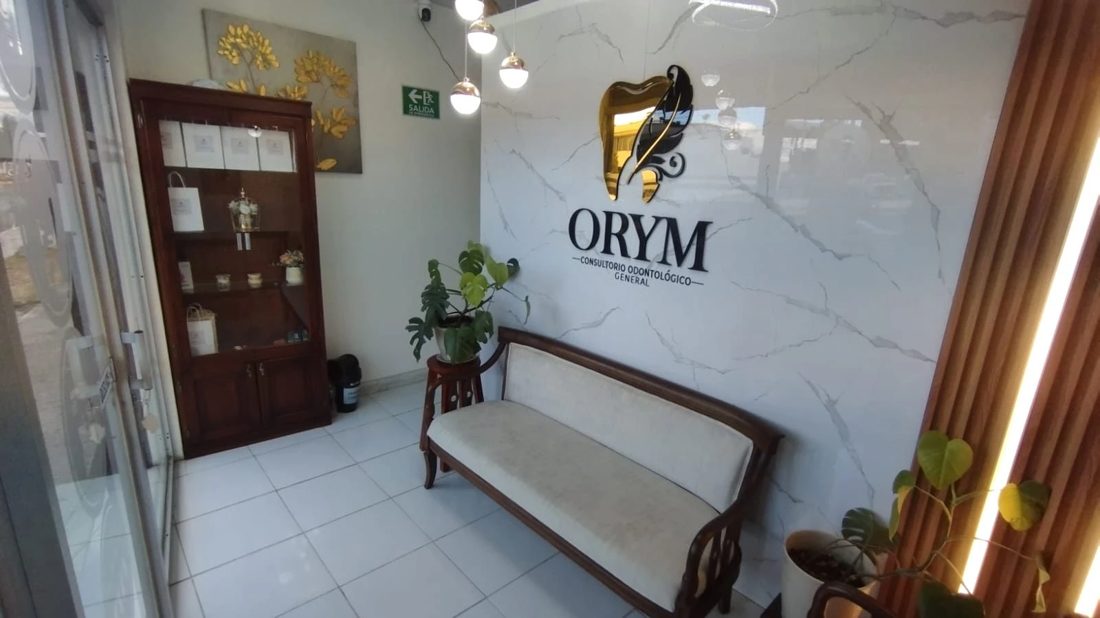 Sala de espera de ORYM con banca, vitrina y plantas